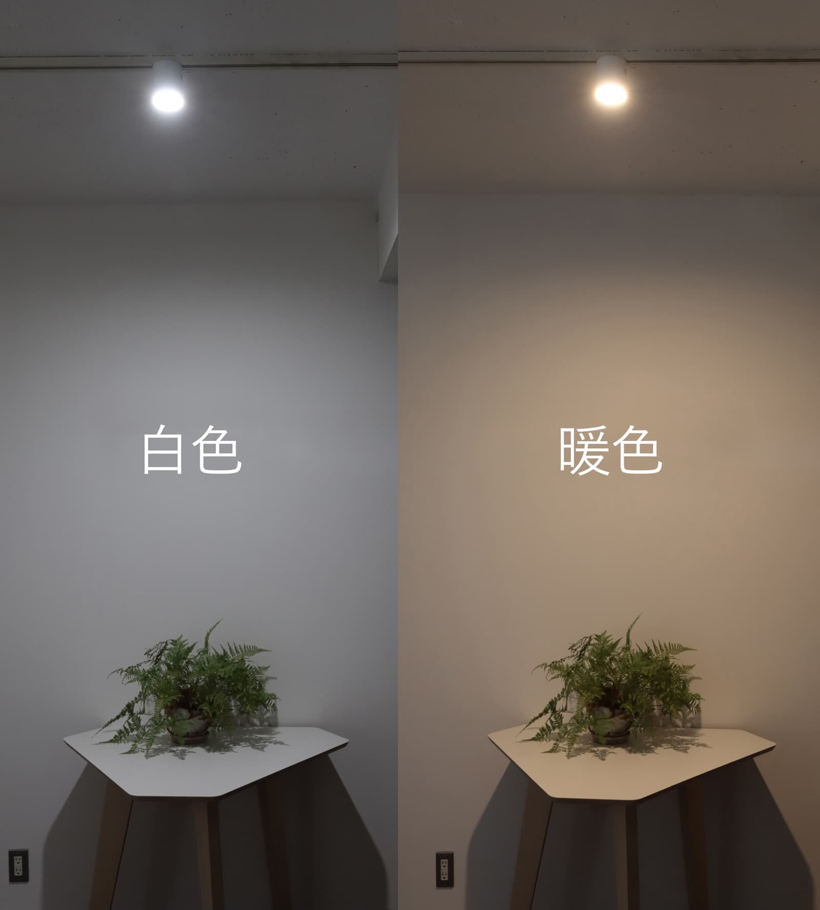 シーリングダウンライト 100W相当 ホワイト LT-OT009-01-G141 色調切替スイッチで色温度を選ぶことができます（写真はレールダウンライト）