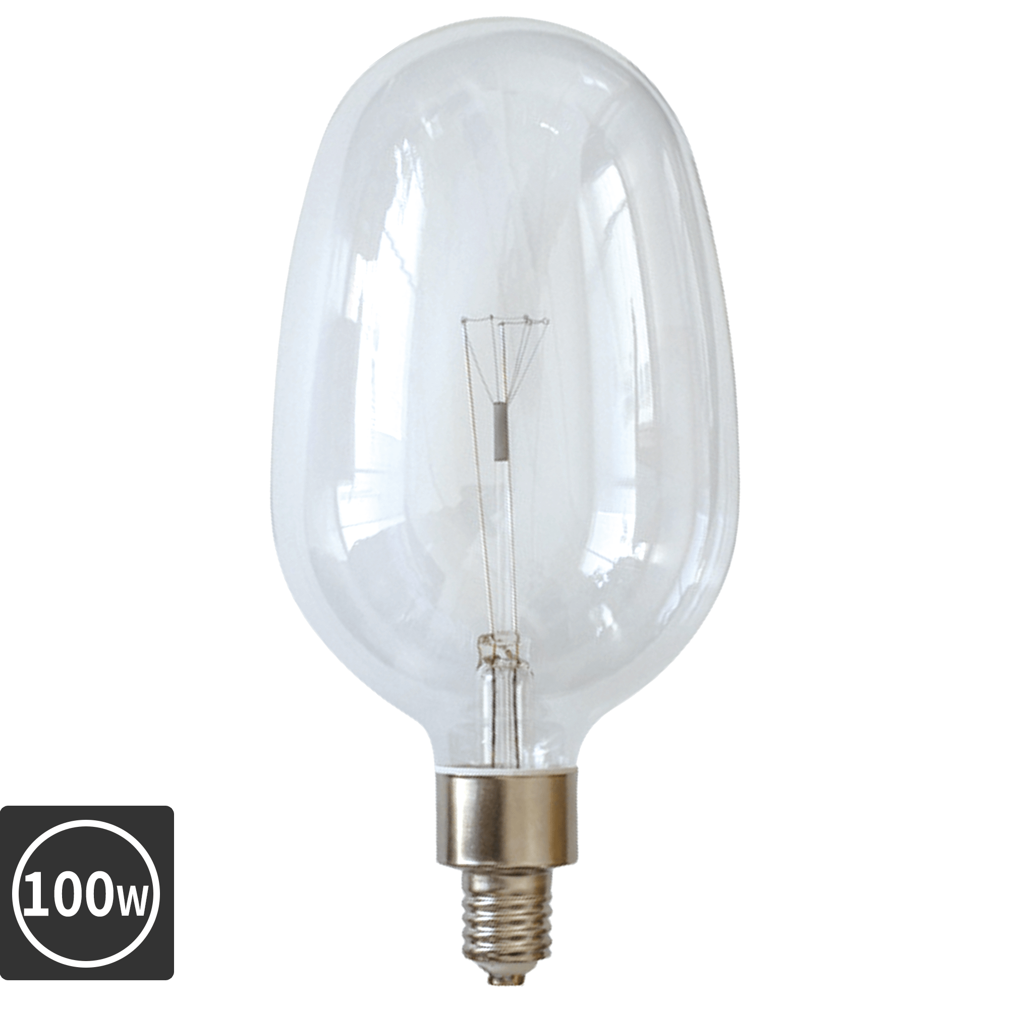 大型集魚灯電球白熱イカ球(E39)100W