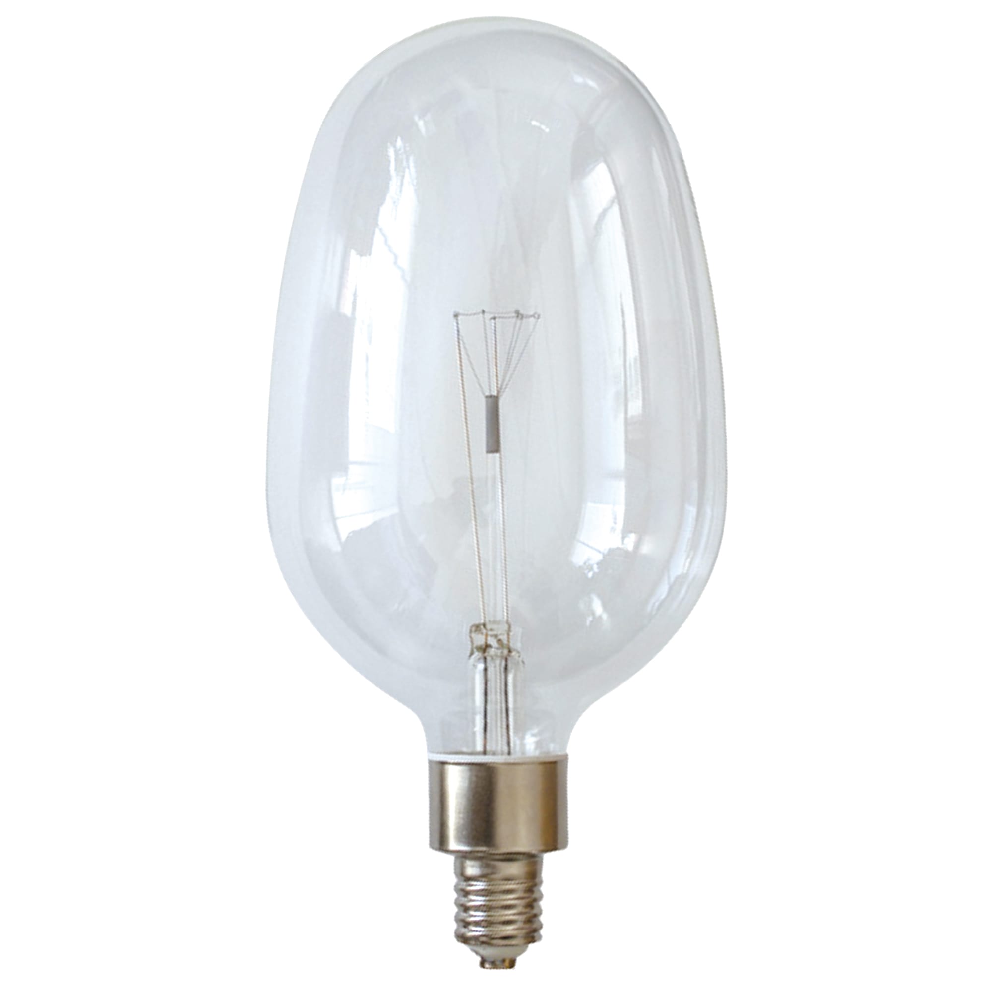 大型集魚灯電球 白熱イカ球(E39)100W LT-BB005-03-G141 白熱イカ球