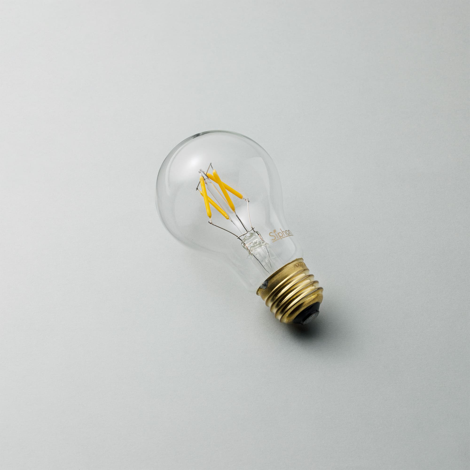 ビンテージLED電球 LED一般電球型(E26)35W相当 2700K LT-BB002-22-G141