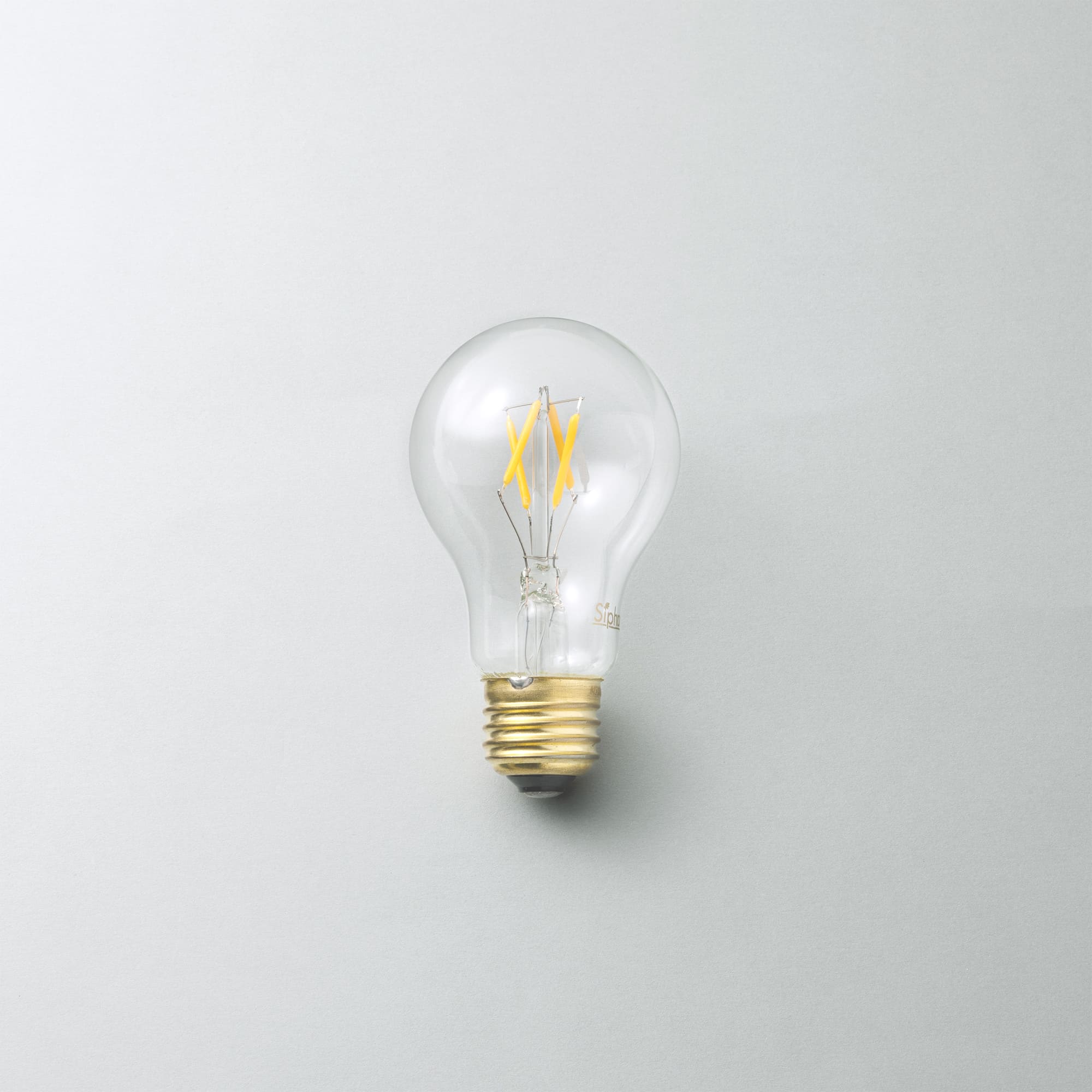 ビンテージLED電球 LED一般電球型(E26)35W相当 2700K LT-BB002-22-G141